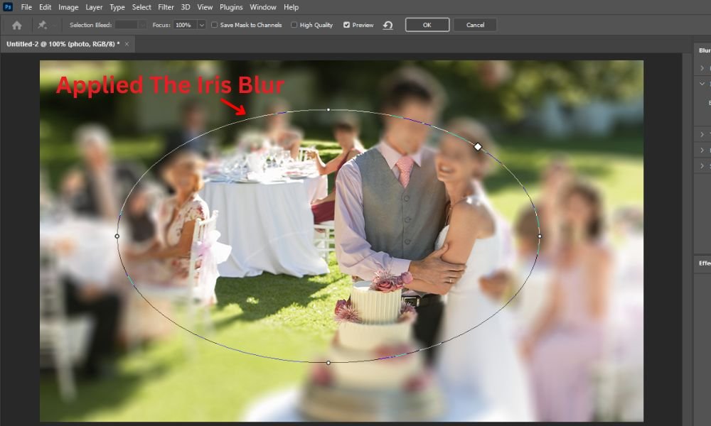 applying the iris blur