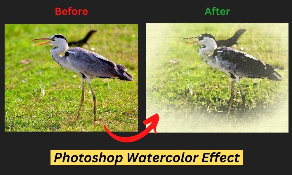 watercolor effect in photoshop