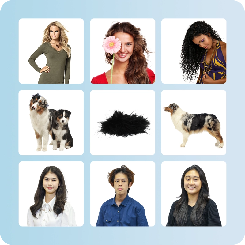 Professional image masking service removing background of complex hair image