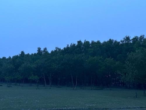 Sundarban-at-dusk