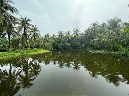 overflown-pond